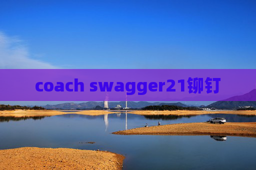 coach swagger21铆钉